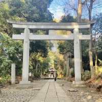 【代々木】代々木八幡宮 - 東京のパワースポット -