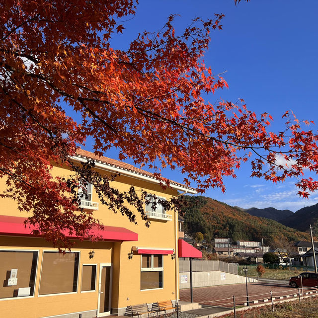 Kawaguchiko sight seeing