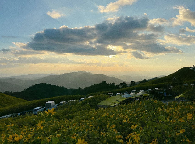 ทุ่งบัวตองดอยแม่อูคอ🌼🌼