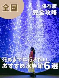 【永久保存版】死ぬまでに行きたい水族館6選