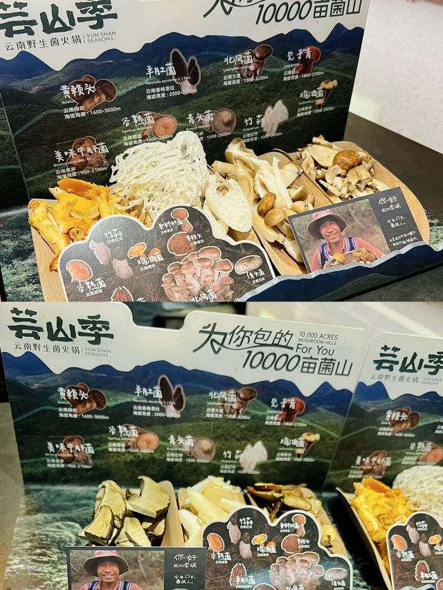 「深圳食雲南野生菌火鍋，適合聚餐」