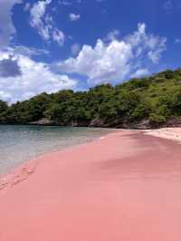 Secret Pink Beach in Lombok, Indonesia 🇮🇩