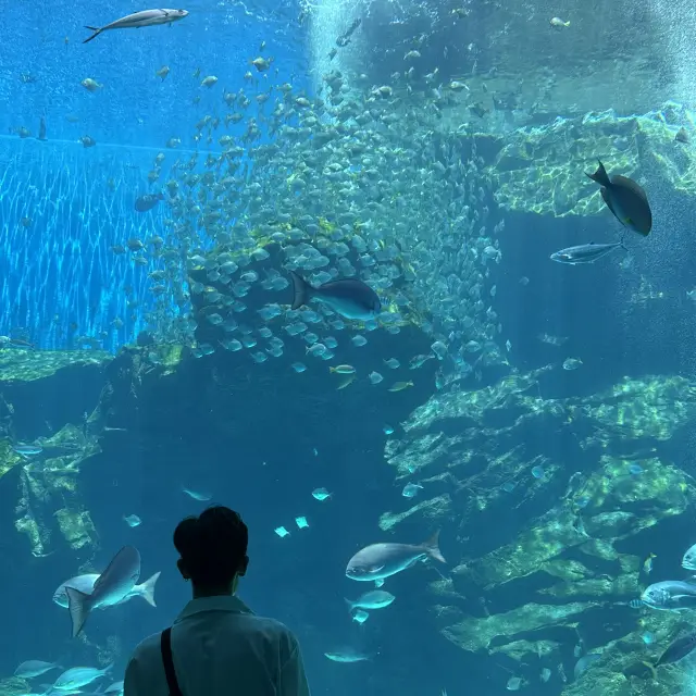 Xpark桃園台灣