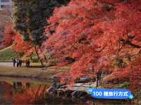 小石川後樂園🍁日式古香庭院