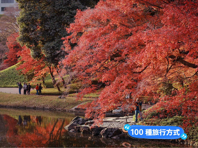 小石川後樂園🍁日式古香庭院