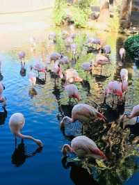 Nice modern zoo