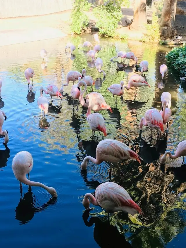 Nice modern zoo