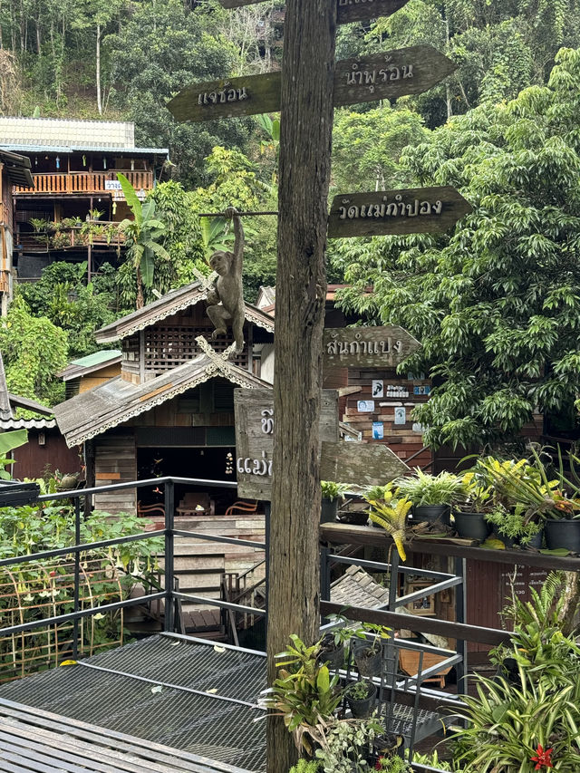 ที่พักแม่กำปอง | จ.เชียงใหม่ 🏡⛰️🍃💤
