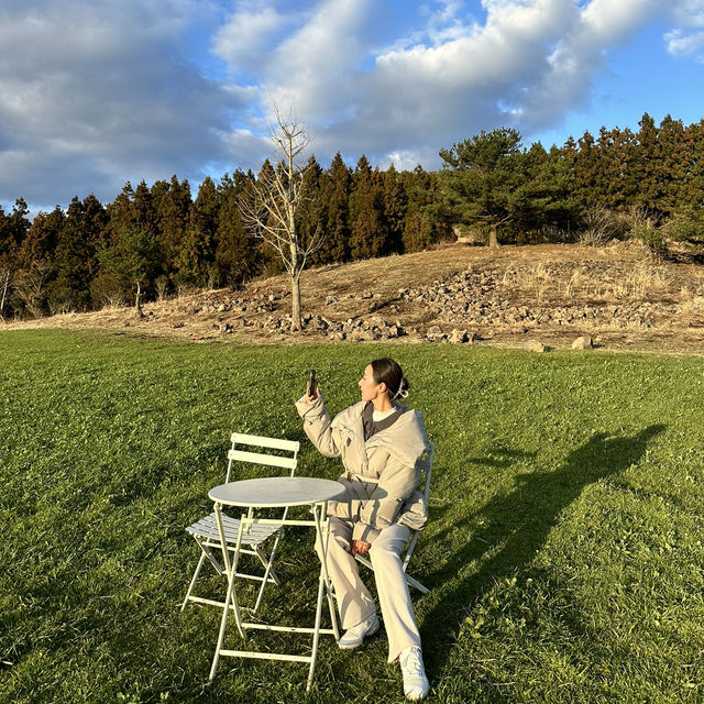 제주안의 작은 유럽 구좌읍 비밀의숲🌳🤫