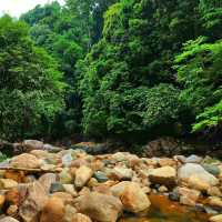 🇲🇾 Dive into Nature: Experience Langsir Waterfall