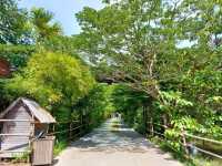 คาเฟ่ฟาร์มที่มีกิจกรรมให้สนุกมากมาย