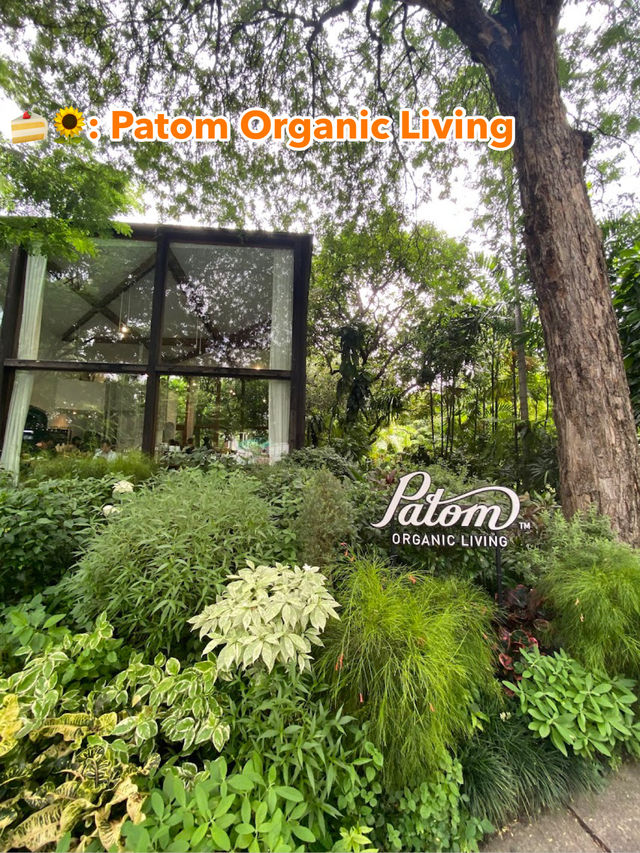  🍰🌻: Patom Organic Living
