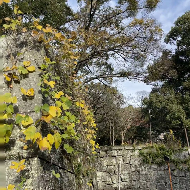 🏯遼闊開揚🏯 龜山城🏯