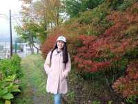 Autumn in Tokyo ชมใบไม้เปลี่ยนสีที่โตเกียว 🍁