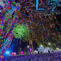 2024清邁花卉節