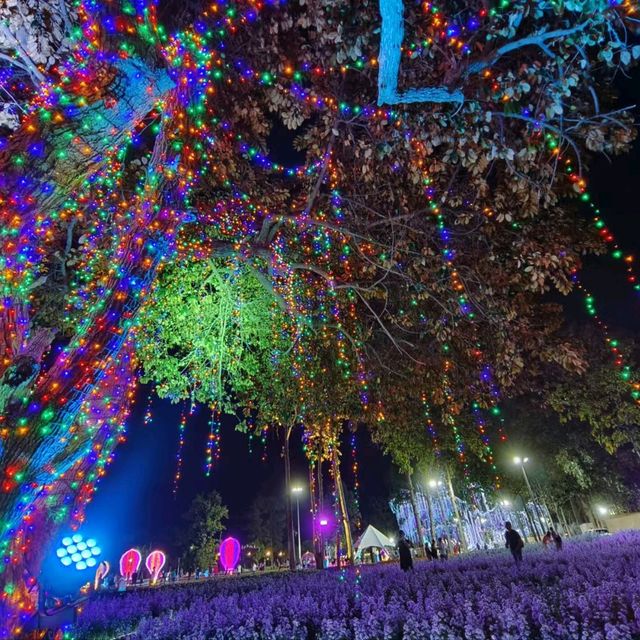2024清邁花卉節