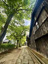 【日本東北】山居倉庫：江戶時代倉庫群和古老的櫸樹林