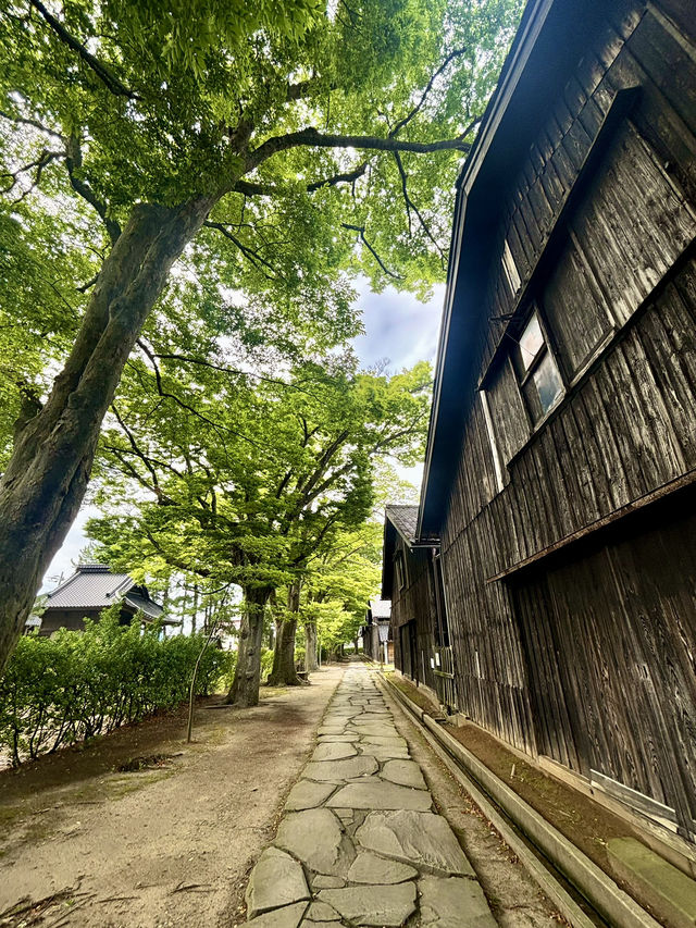【日本東北】山居倉庫：江戶時代倉庫群和古老的櫸樹林