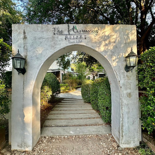 🌳The Harmony Resort