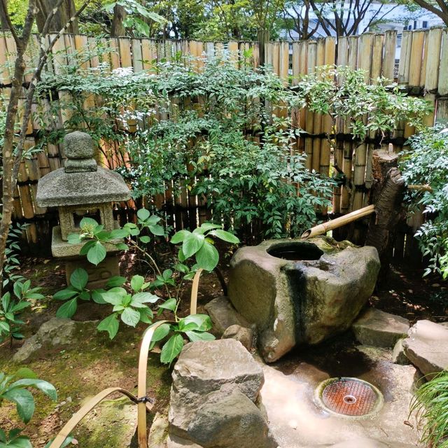 横浜観光おすすめスポット✨横浜公園『彼我公園』
