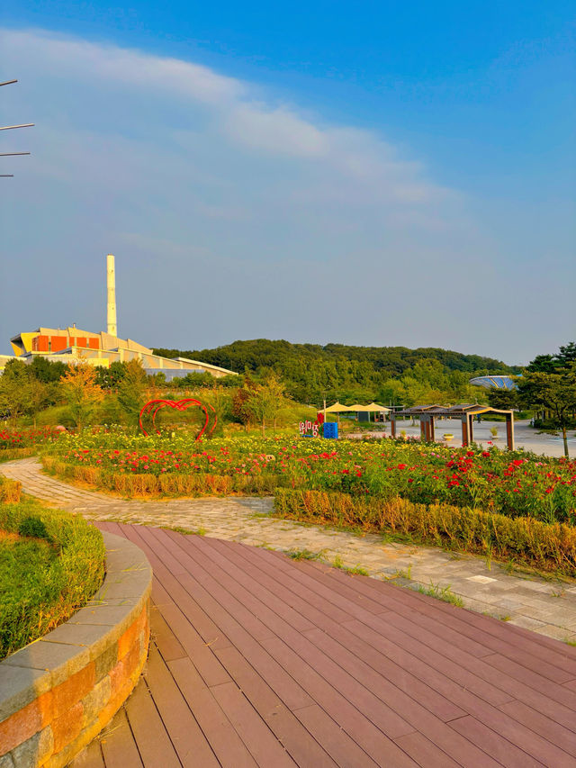 김포 한강 신도시의 숨은 보석, 호수공원 장미원