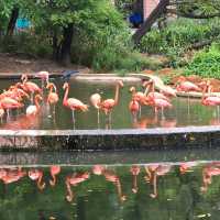 廣州動物園