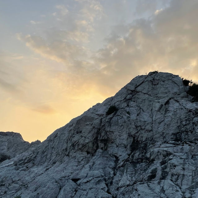 Witness a Coastal Masterpiece at Shirasaki Ocean Park