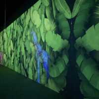 Immersive Delights at Arte M: A Serene Exploration