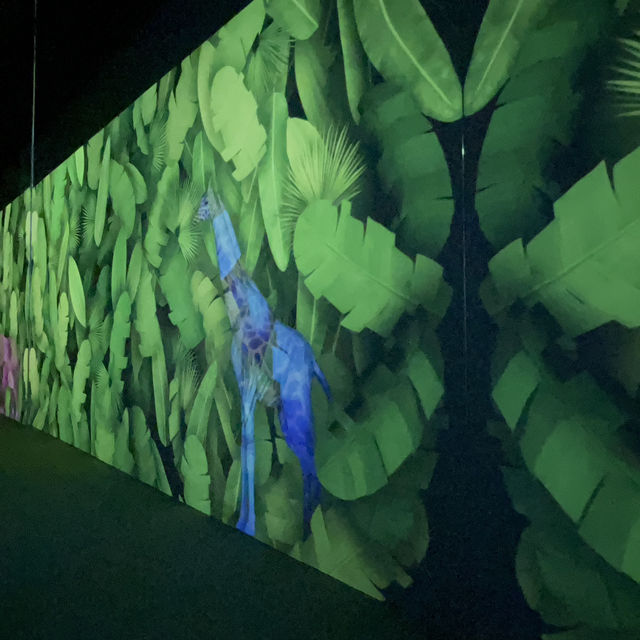 Immersive Delights at Arte M: A Serene Exploration