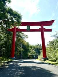 【長崎県】龍神伝説と海中鳥居が神秘的な神社