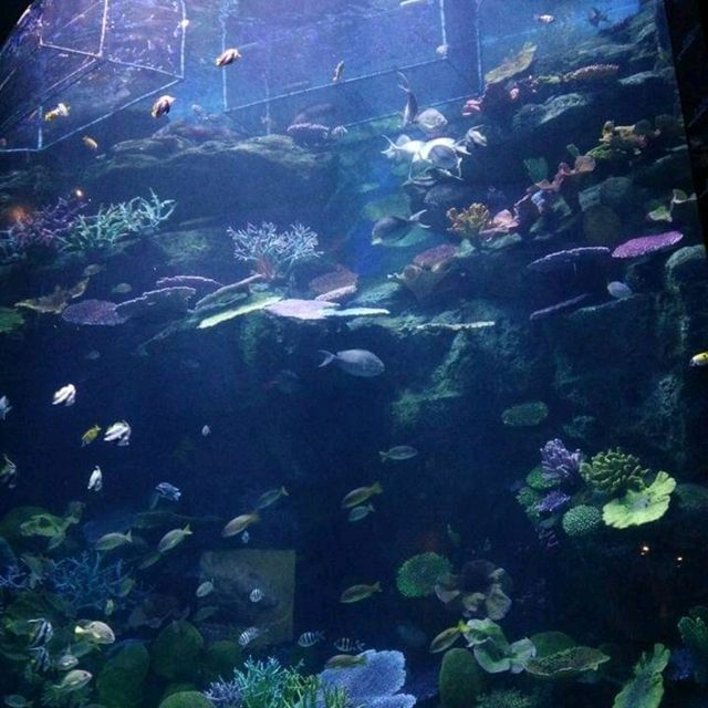 Sea Life Bangkok Ocean World