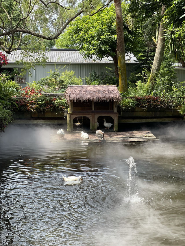 台灣苗栗景點「花露農場 Flower Home」
