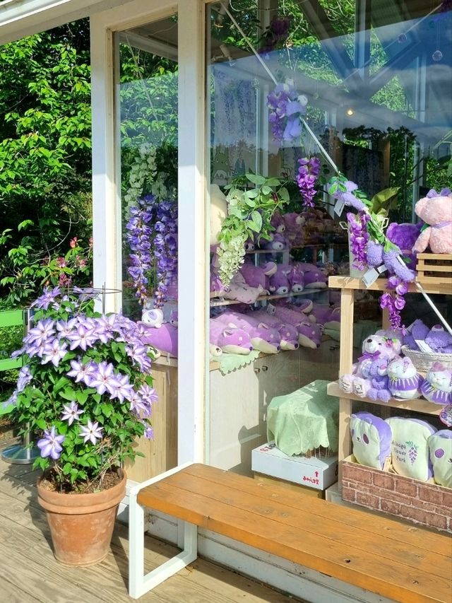 SOUVENIR SHOP AT ASHIKAGA FLOWER PARK