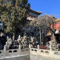 Discovering the Forbidden City: A Joyful Winter Journey Through Beijing’s Ancient Treasure