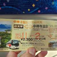 ใบไม้เปลี่ยนสี nikko