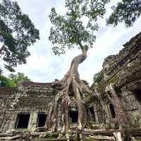 【カンボジア/シェムリアップ】自然と遺跡が融合した神秘的なタプローム寺院