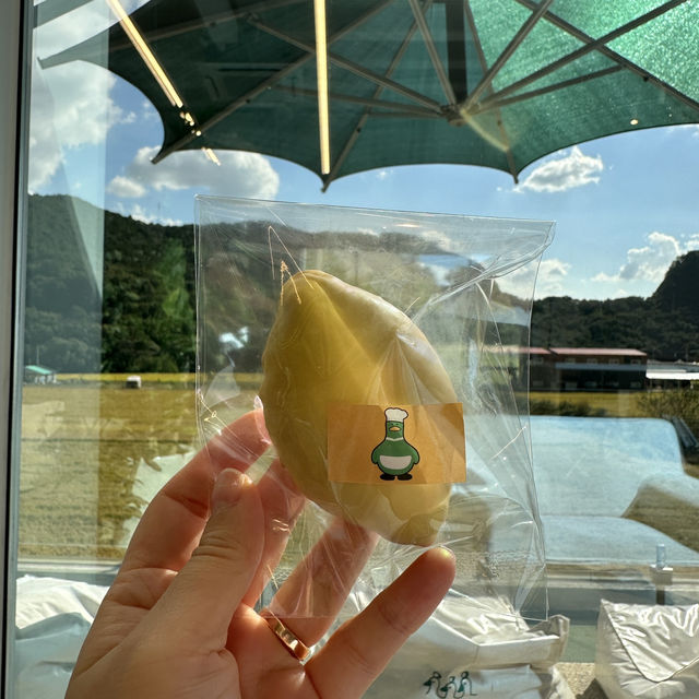 가을 주말 당일치기로 추천하는 경기도힐링카페💗