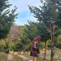 문경 가을꽃구경🌼