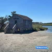 Camping Experience at Assateague Island