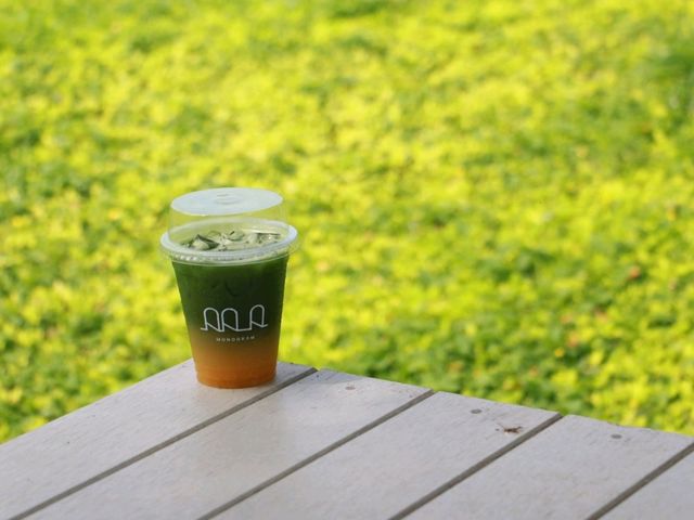 เที่ยวคาเฟ่เขาใหญ่ที่ Monogram 