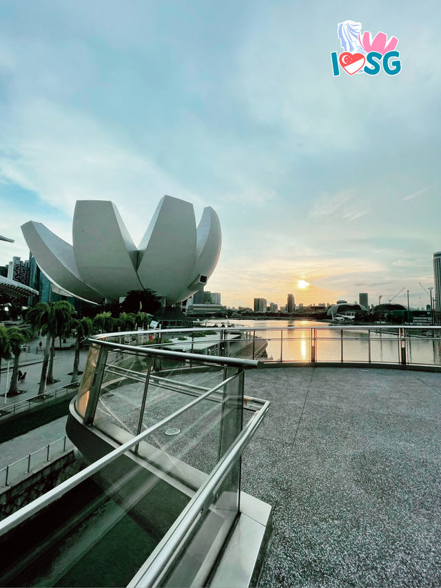 🇸🇬 Berry welcome to Marina Bay Sands 