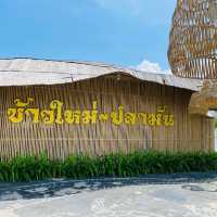 ข้าวใหม่ปลามัน อัมพวา 