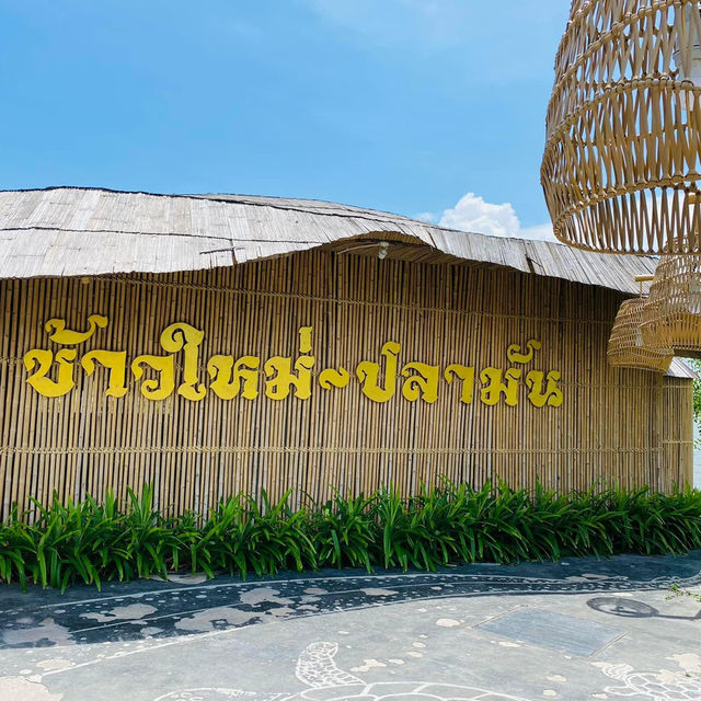 ข้าวใหม่ปลามัน อัมพวา 