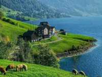 Beautiful Switzerland 🇨🇭