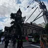 墨爾本市政廳：城市的文化心臟 🏛️✨