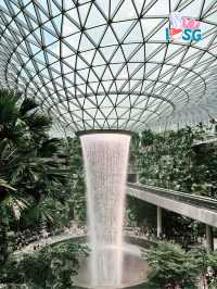 🇸🇬 Berry welcome to Jewel Changi Lounge