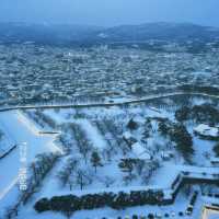 北海道牛乳農場～
