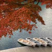 Goshikinuma Lake (โกชิกินุมะ)