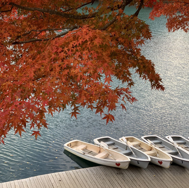 Goshikinuma Lake (โกชิกินุมะ)