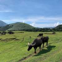 Exploring Yang Ming Shan with a Local Guide 
